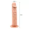 BAILE élethű dildó Barbara Calvin 7,8 " Dildo with Suction Cup - közepes méretű, letapasztható, erezett felületű, TPR (20 cm)